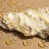 Fresh Ricotta